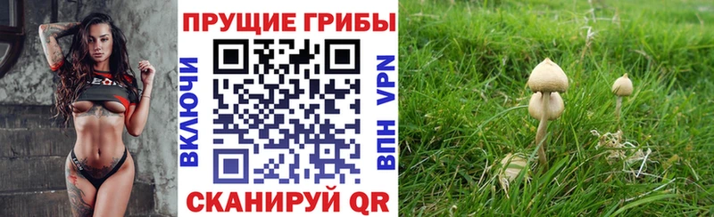 Псилоцибиновые грибы мухоморы  Купить где  Котельнич 